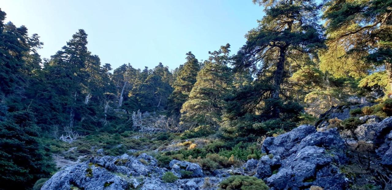 Hotel Sierra Hidalga Ronda Eksteriør bilde